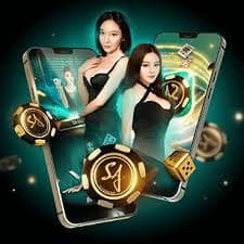665bet cassino